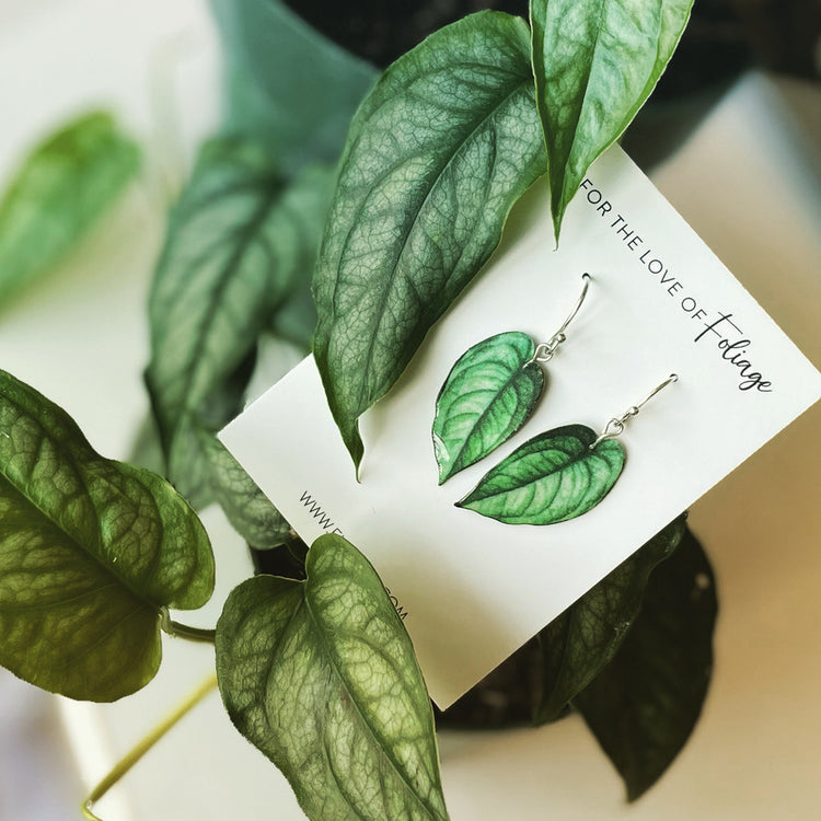 Plant Earrings