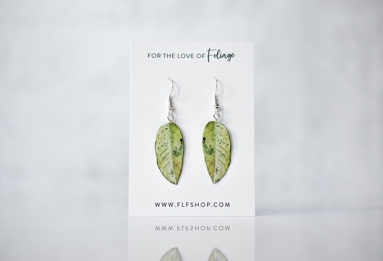 Dieffenbachia Earrings