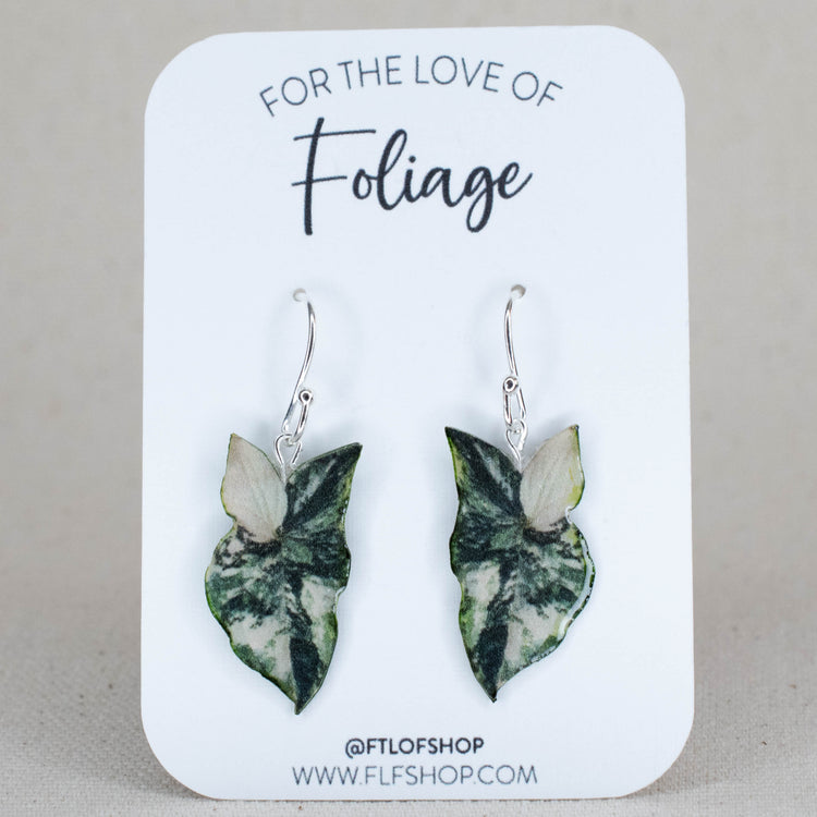 Syngonium Earrings