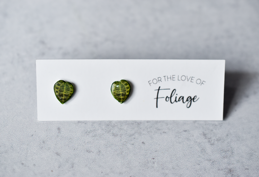 Macodes Petula Jewel Orchid Stud Earrings | Leaf Earrings