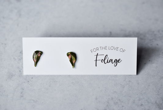 Philodendron Pink Princess Stud Earrings | Leaf Earrings