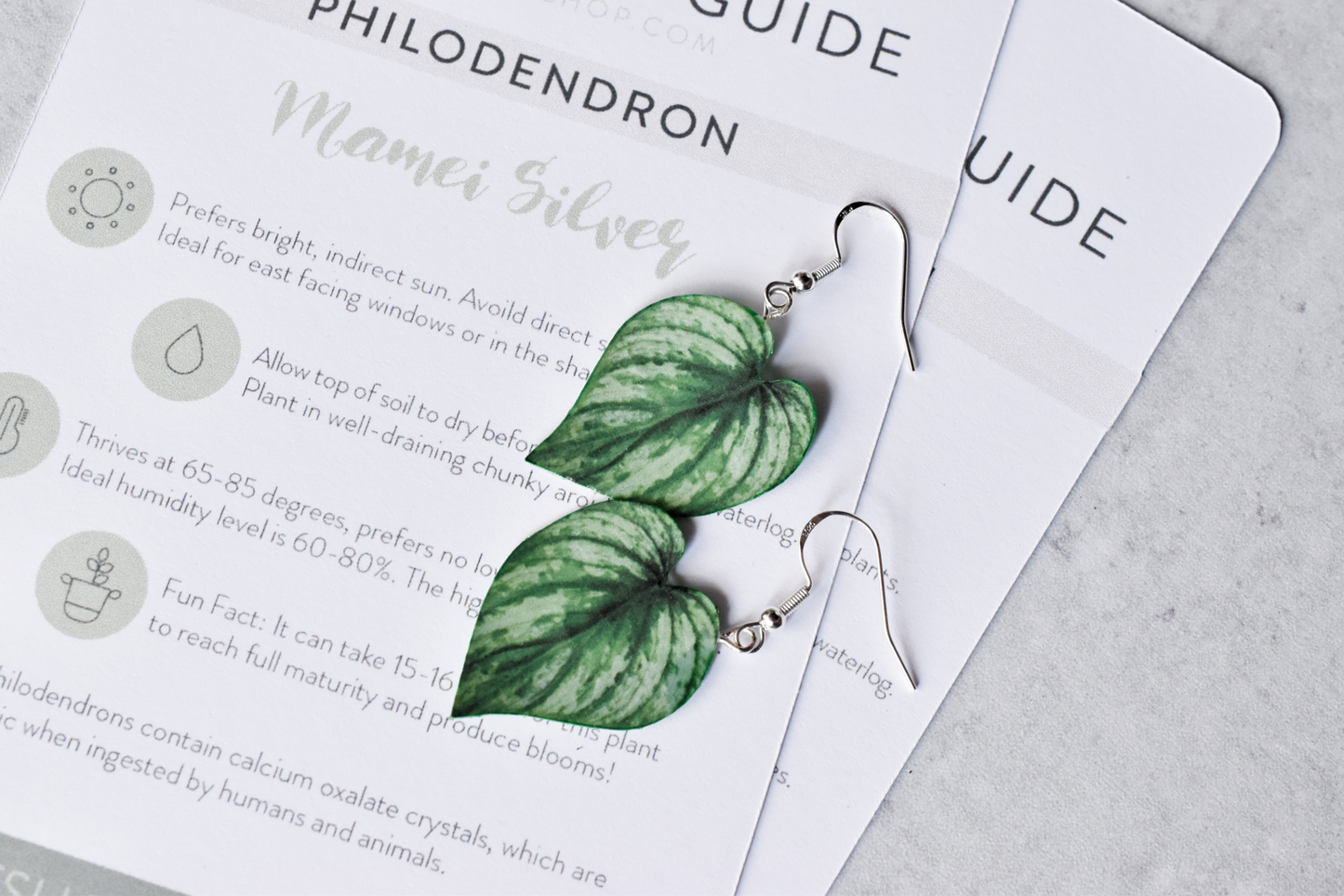 Mystery Earring of the Month Subscription