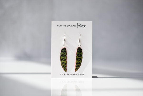 Calathea lancifolia “Rattlesnake” Plant Earrings | Leaf Earrings