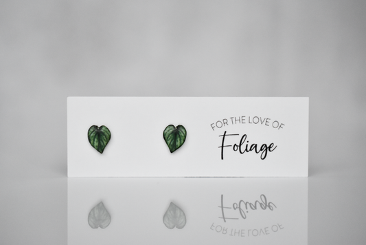 Philodendron Mameii Silver Stud Earrings | Leaf Earrings