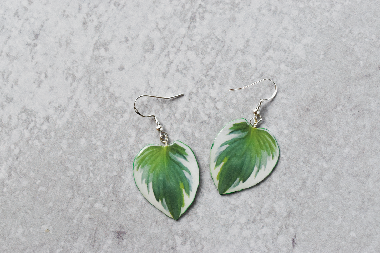 Hosta Patriot Plant Earrings | Leaf Earrings