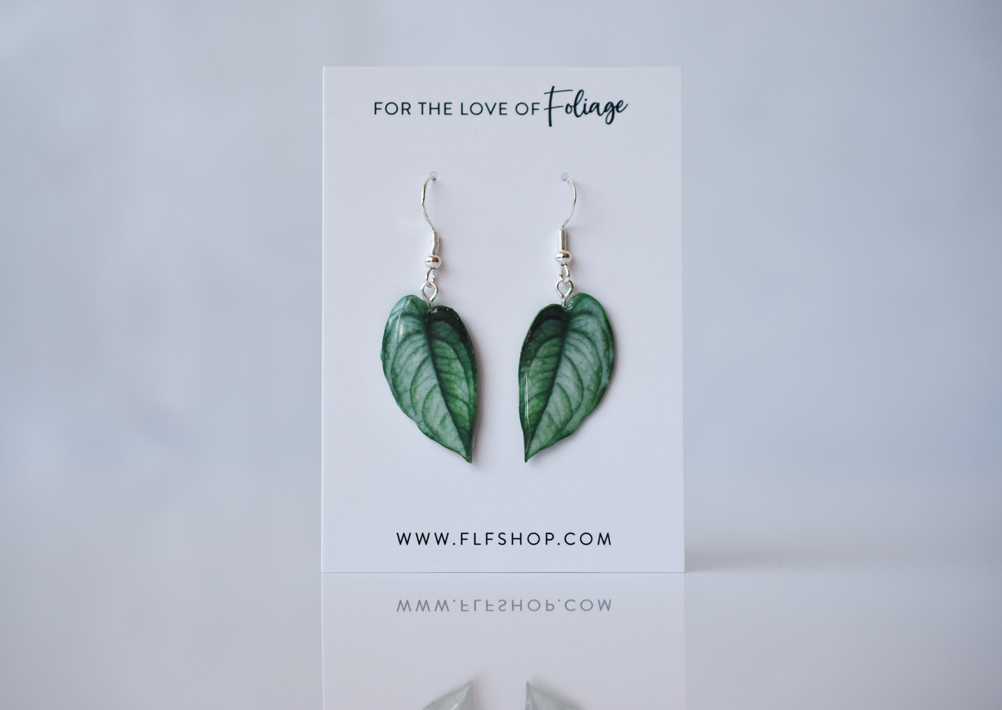 Monstera Siltepecana Plant Earrings | Leaf Earrings