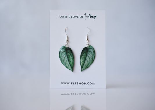 Monstera Siltepecana Plant Earrings | Leaf Earrings
