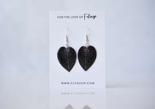 Anoectochilus Sikkimensis Jewel Orchid Plant Earrings | Leaf Earrings