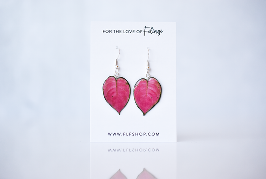 Aglaonema "Pink Star" Plant Earrings | Leaf Earrings