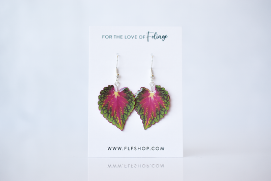 Watermelon Coleus Plant Earrings | Leaf Earrings