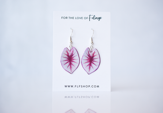 Caladium White Queen Plant Earrings | Leaf Earrings