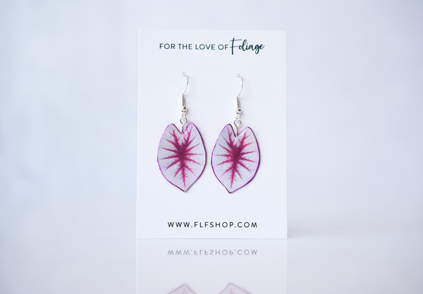 Caladium White Queen Plant Earrings | Leaf Earrings