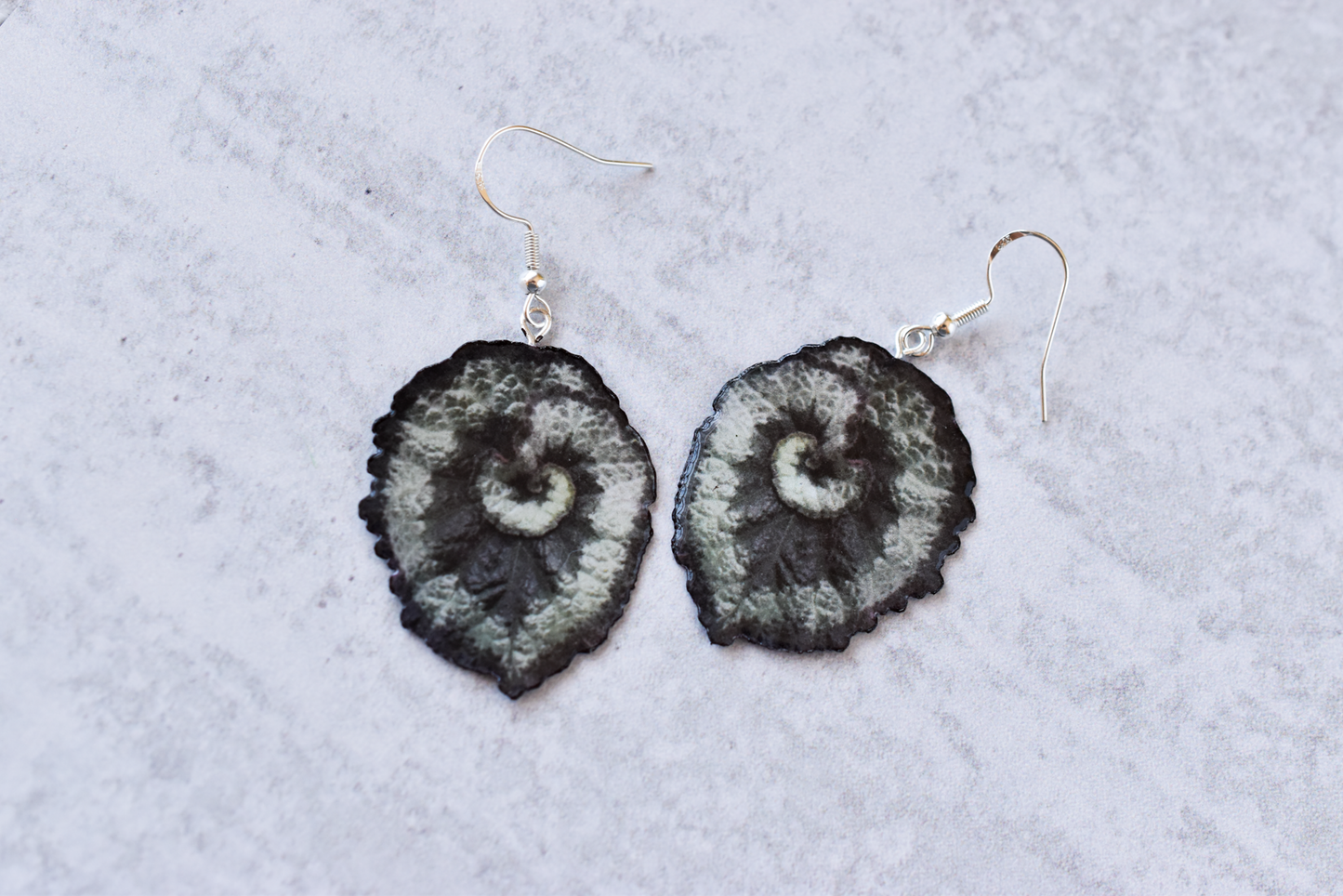 Begonia Escargot Plant Earrings | Leaf Earrings