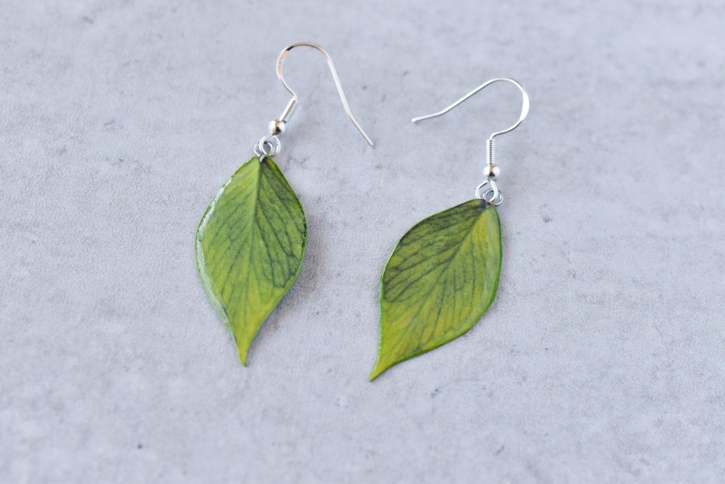 Hoya Polyneura Plant Earrings | Leaf Earrings