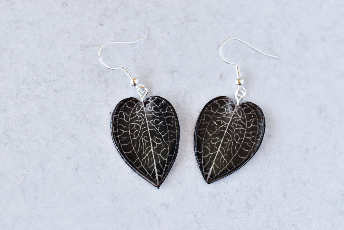 Anoectochilus Sikkimensis Jewel Orchid Plant Earrings | Leaf Earrings