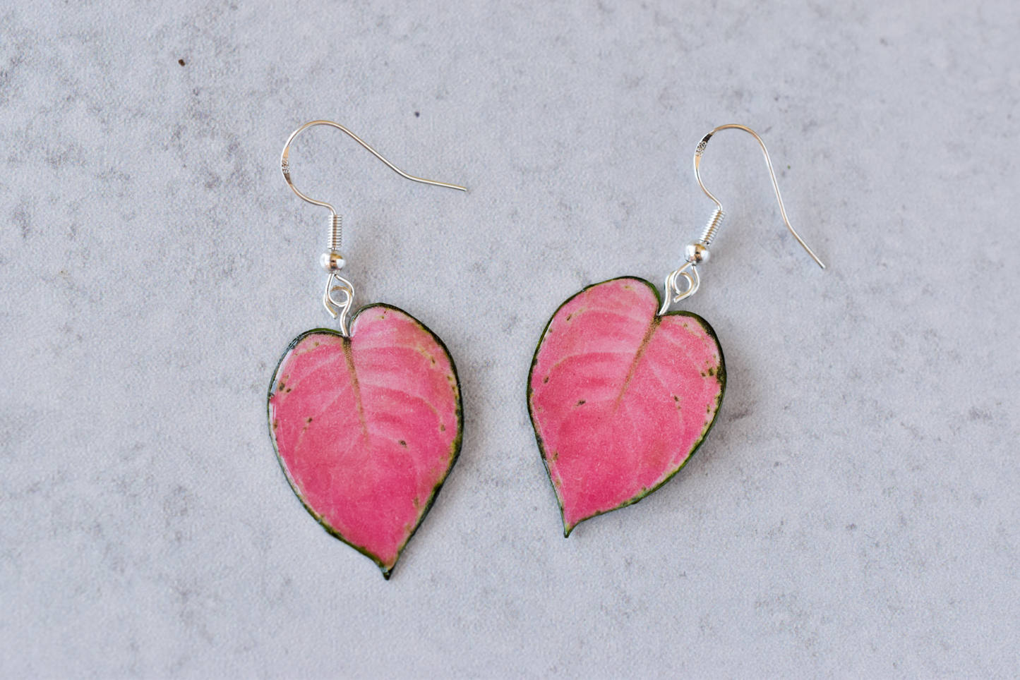 Aglaonema "Pink Star" Plant Earrings | Leaf Earrings