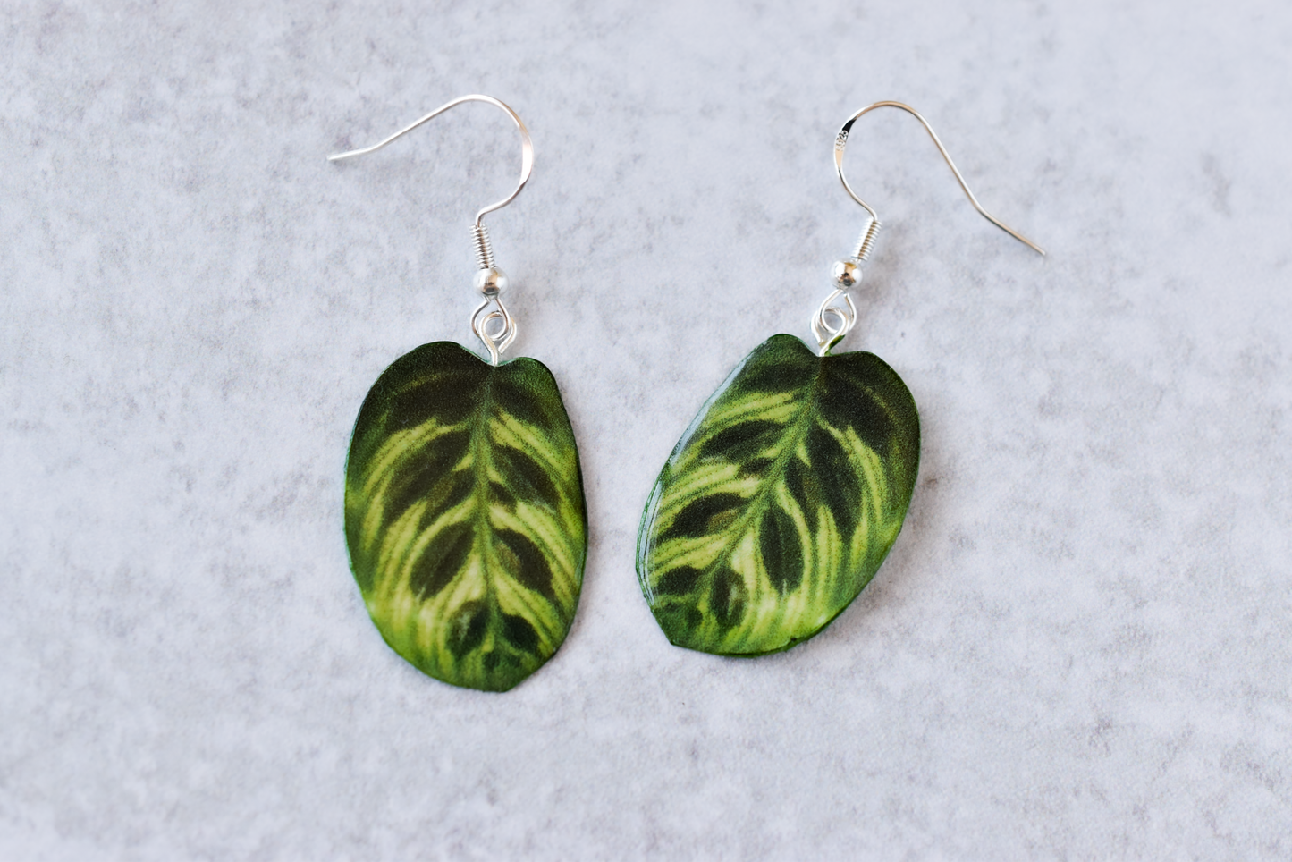 Calathea Makoyana Peacock Plant Earrings | Leaf Earrings