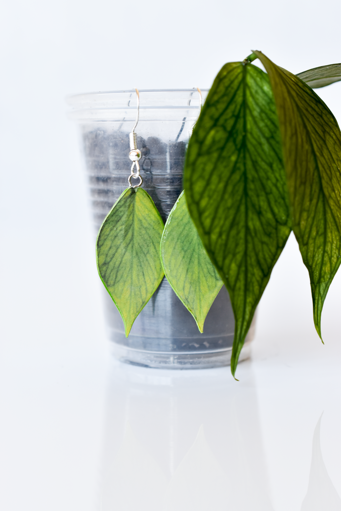 Hoya Polyneura Plant Earrings | Leaf Earrings