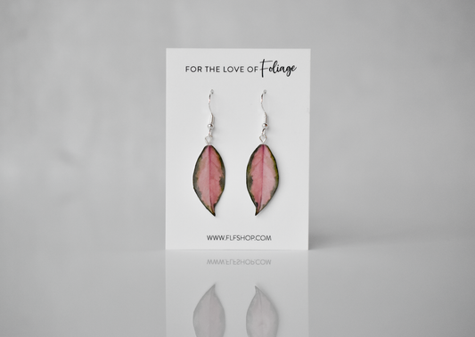 Hoya Krimson Princess Plant Earrings | Leaf Earrings