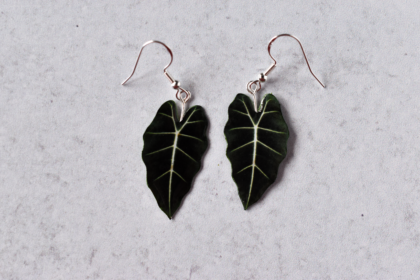 Alocasia Frydek Plant Earrings | Leaf Earrings