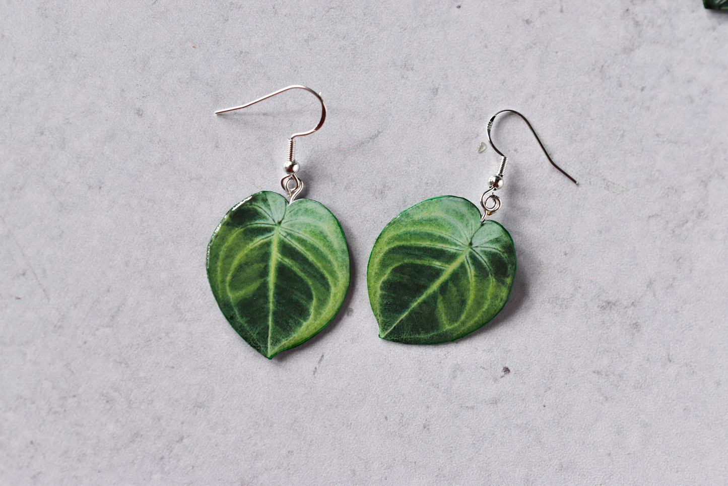 Syngonium Frosted Heart Plant Earrings | Leaf Earrings