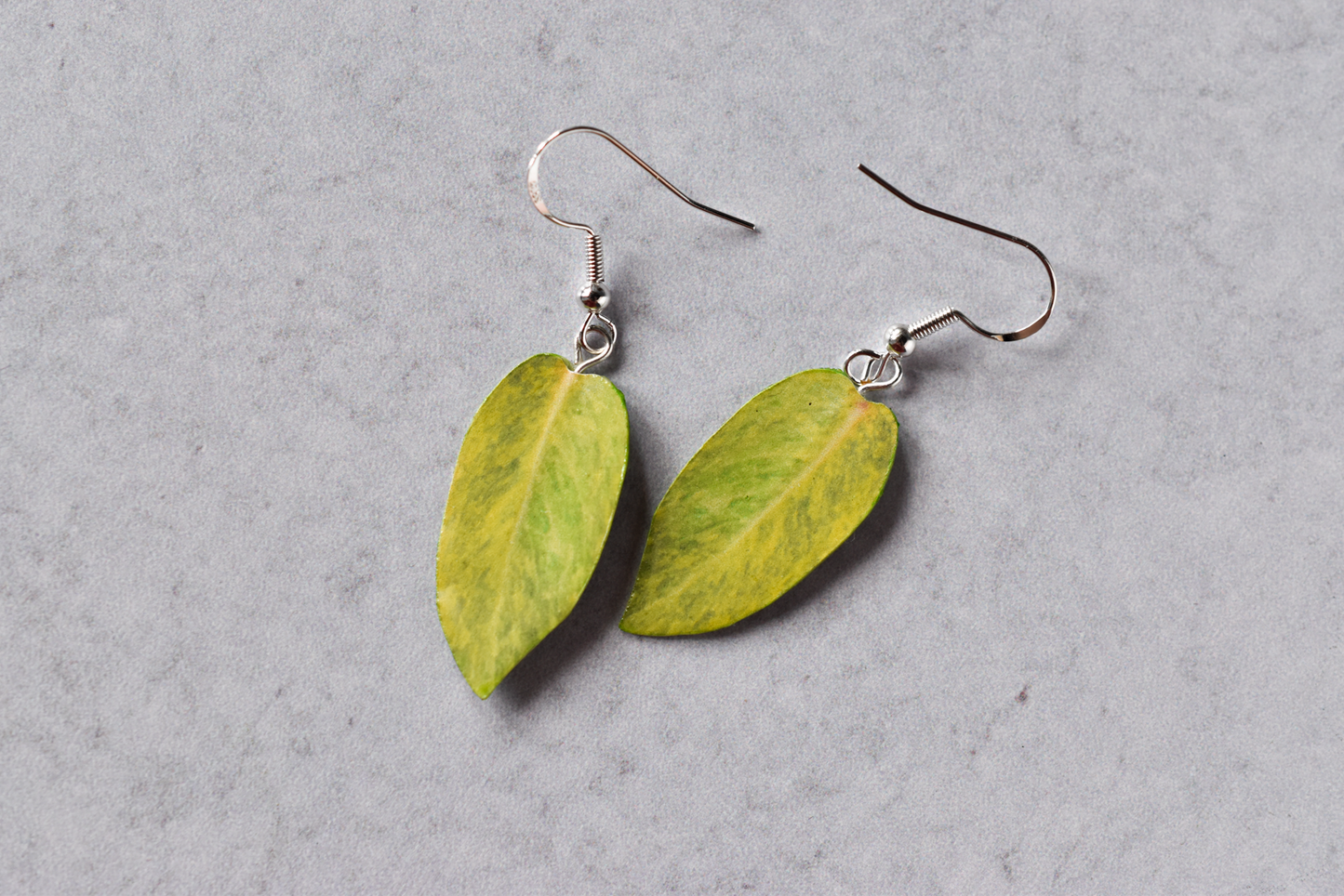Philodendron "Painted Lady" Plant Earrings | Leaf Earrings