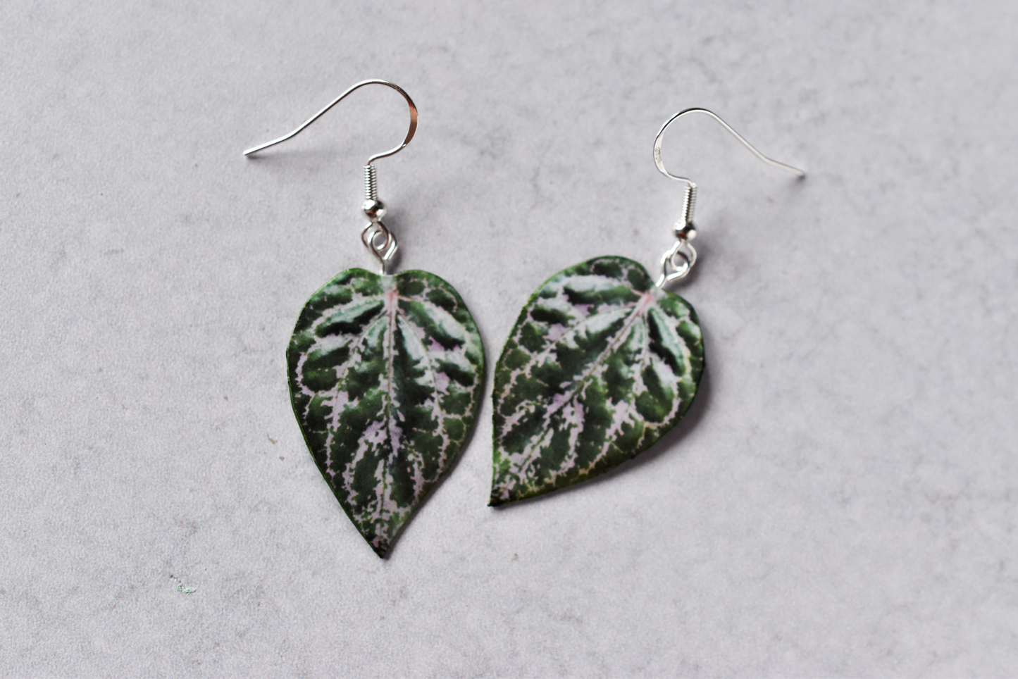 Piper Crocatum Plant Earrings | Leaf Earrings