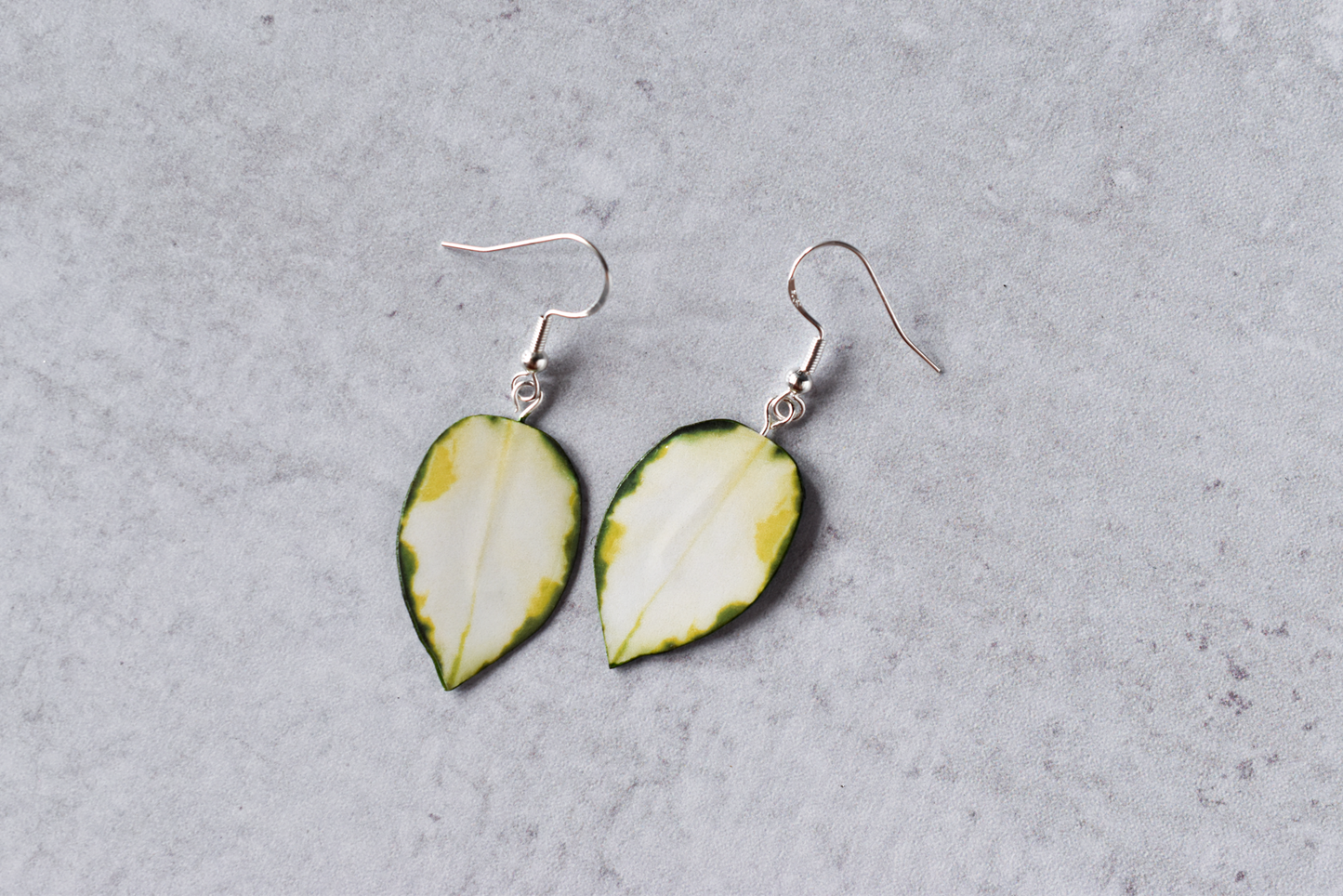 Hoya Carnosa Variegata Plant Earrings | Leaf Earrings