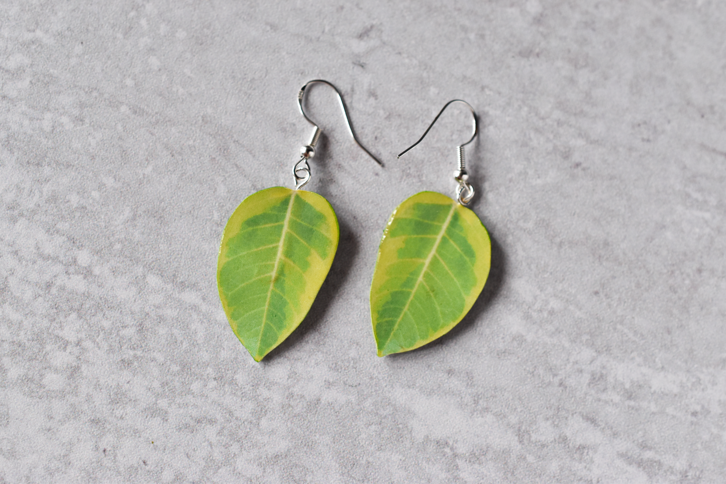 Ficus Altissima “Yellow Gem” Plant Earrings | Leaf Earrings