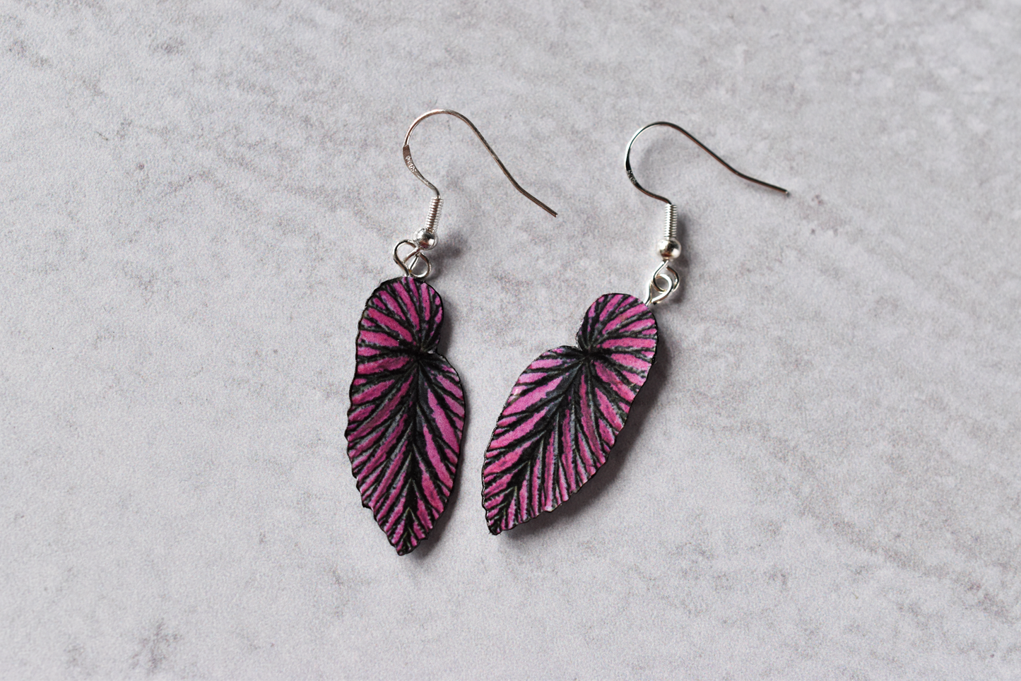 Begonia Brevirimosa Plant Earrings | Leaf Earrings