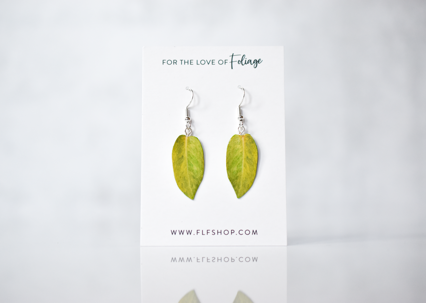 earring philodendron Philodendron Painted Lady Plant Earrings