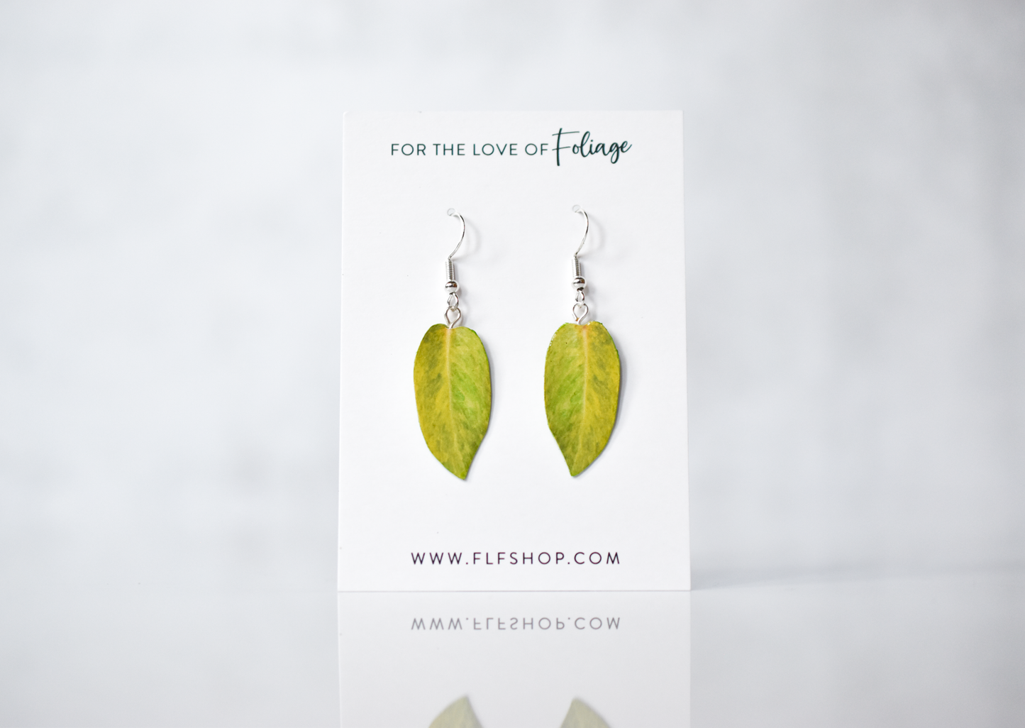 Philodendron "Painted Lady" Plant Earrings | Leaf Earrings