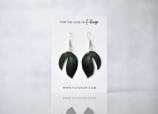 Rhaphidophora Decursiva “Dragon Tail” Plant Earrings | Leaf Earrings