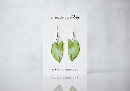 Syngonium White Butterfly Plant Earrings | Leaf Earrings