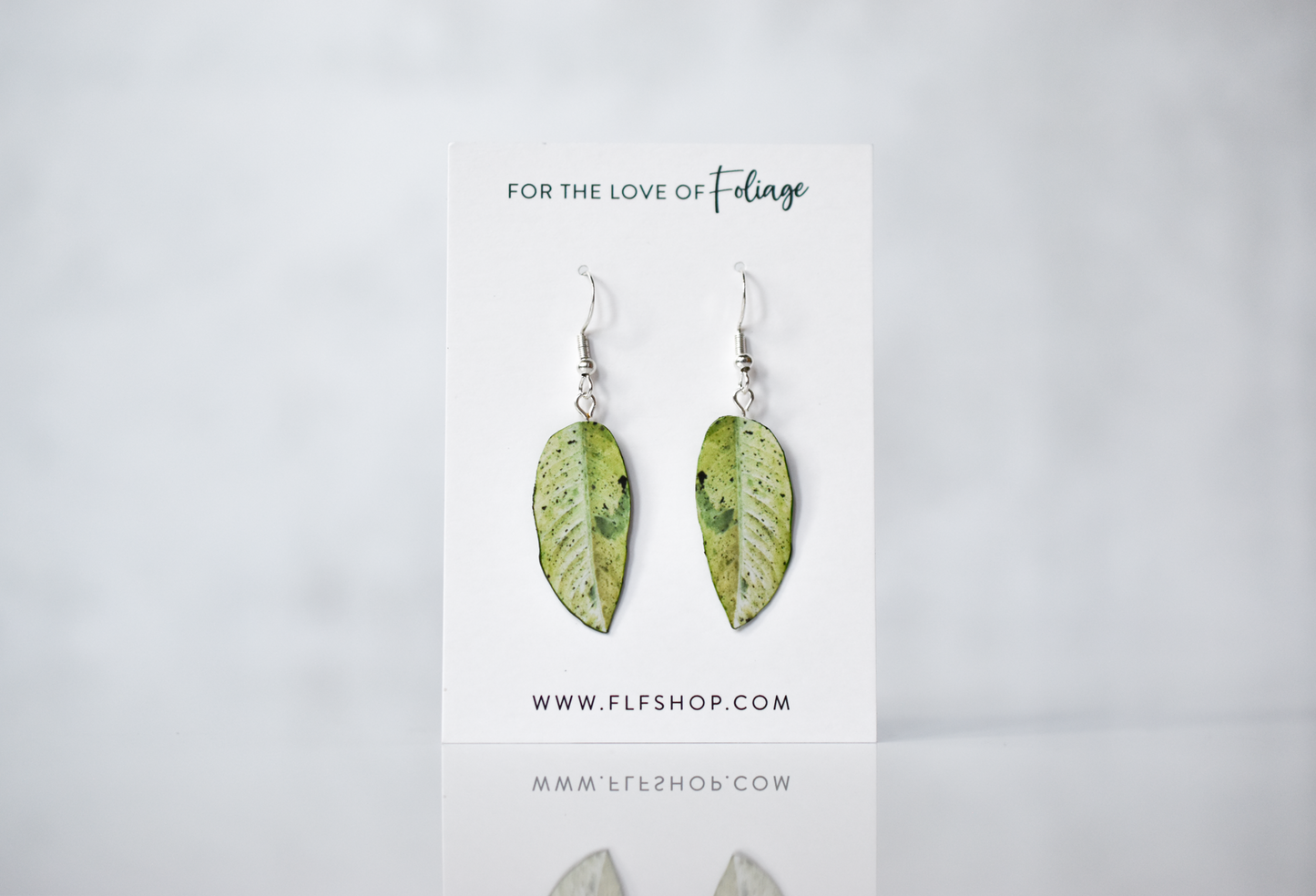 Dieffenbachia "Camouflage" Plant Earrings | Leaf Earrings
