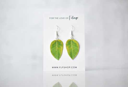 Ficus Altissima “Yellow Gem” Plant Earrings | Leaf Earrings