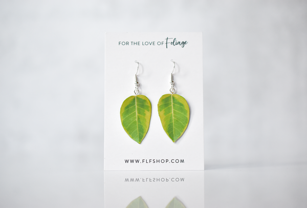 Ficus Altissima “Yellow Gem” Plant Earrings | Leaf Earrings