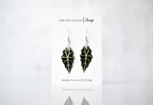 Alocasia Polly Plant Earrings | Leaf Earrings