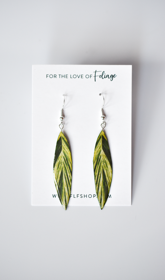Alpinia Zerumbet Variegata "Shell Ginger" Plant Earrings | Leaf Earrings