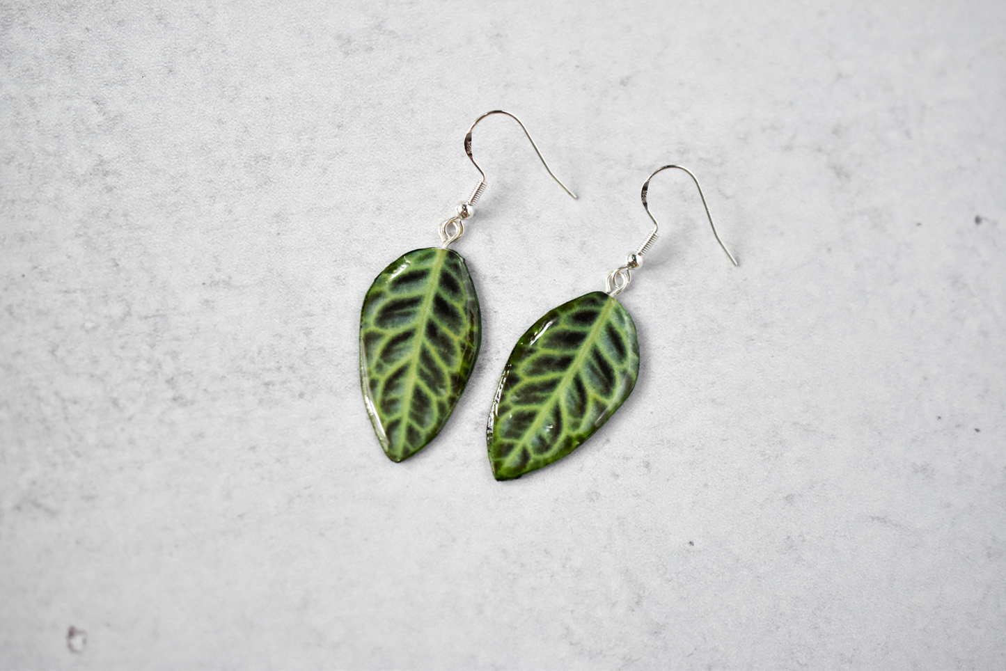Labisia "Turtle Back" Plant Earrings | Leaf Earrings