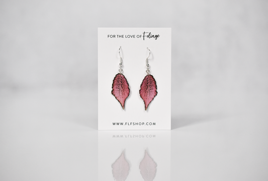 Fittonia Frankie Plant Earrings | Leaf Earrings