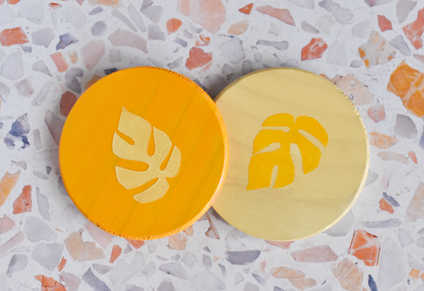 Rhaphidophora Tetrasperma "Mini Monstera" Multicolor Painted Wooden Coaster 2-Pack