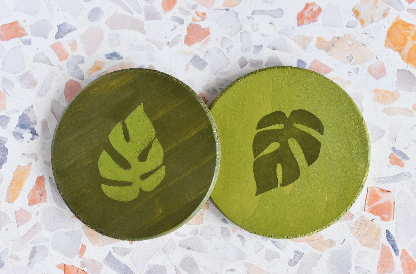 Rhaphidophora Tetrasperma "Mini Monstera" Multicolor Painted Wooden Coaster 2-Pack