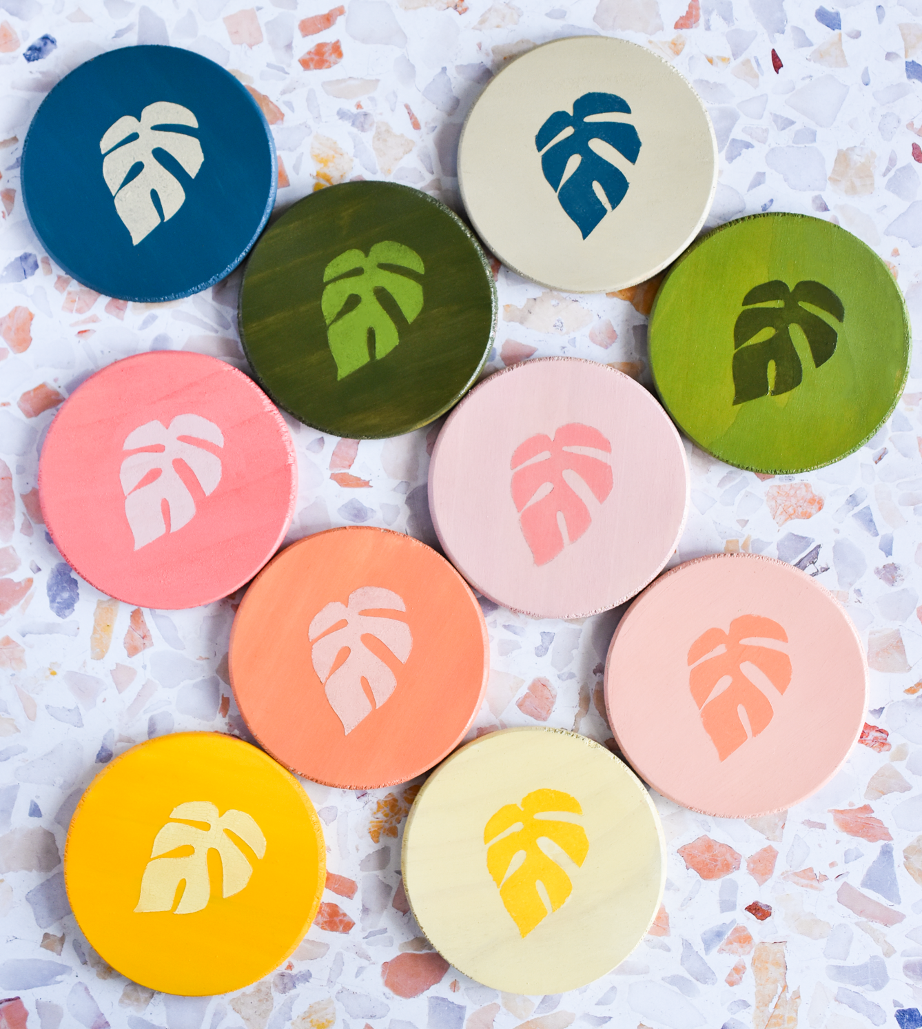 Rhaphidophora Tetrasperma "Mini Monstera" Multicolor Painted Wooden Coaster 2-Pack