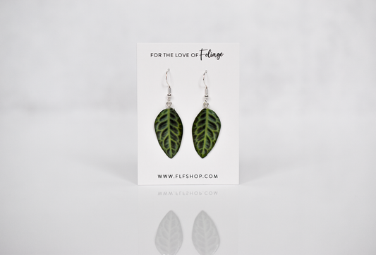 Labisia "Turtle Back" Plant Earrings | Leaf Earrings