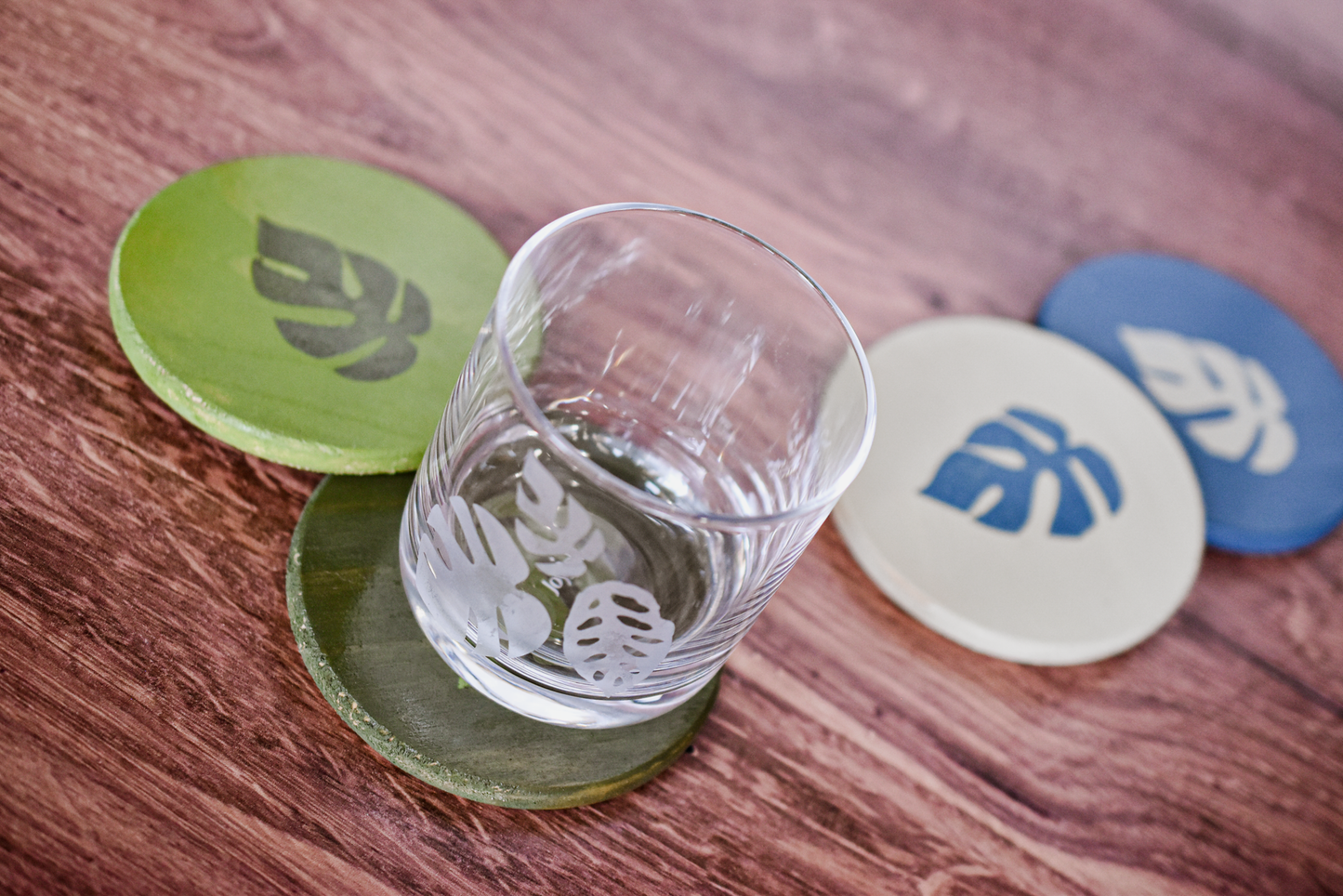 Rhaphidophora Tetrasperma "Mini Monstera" Multicolor Painted Wooden Coaster 2-Pack