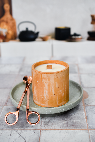 Indirect Sunlight | Philodendron Inspired Earth Glow Candle | 8.5oz Natural Soy Wood Wick