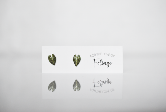 Anthurium Regale Stud Earrings | Leaf Earrings