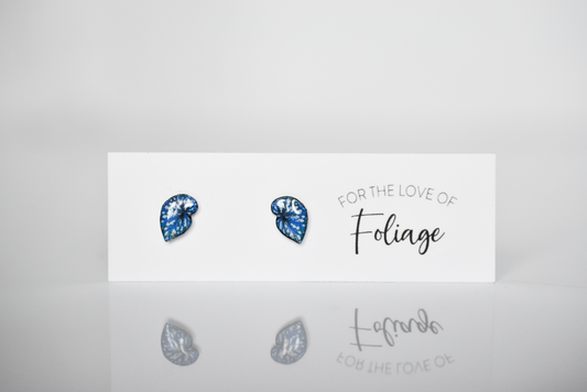 Begonia Betsey Stud Earrings | Leaf Earrings