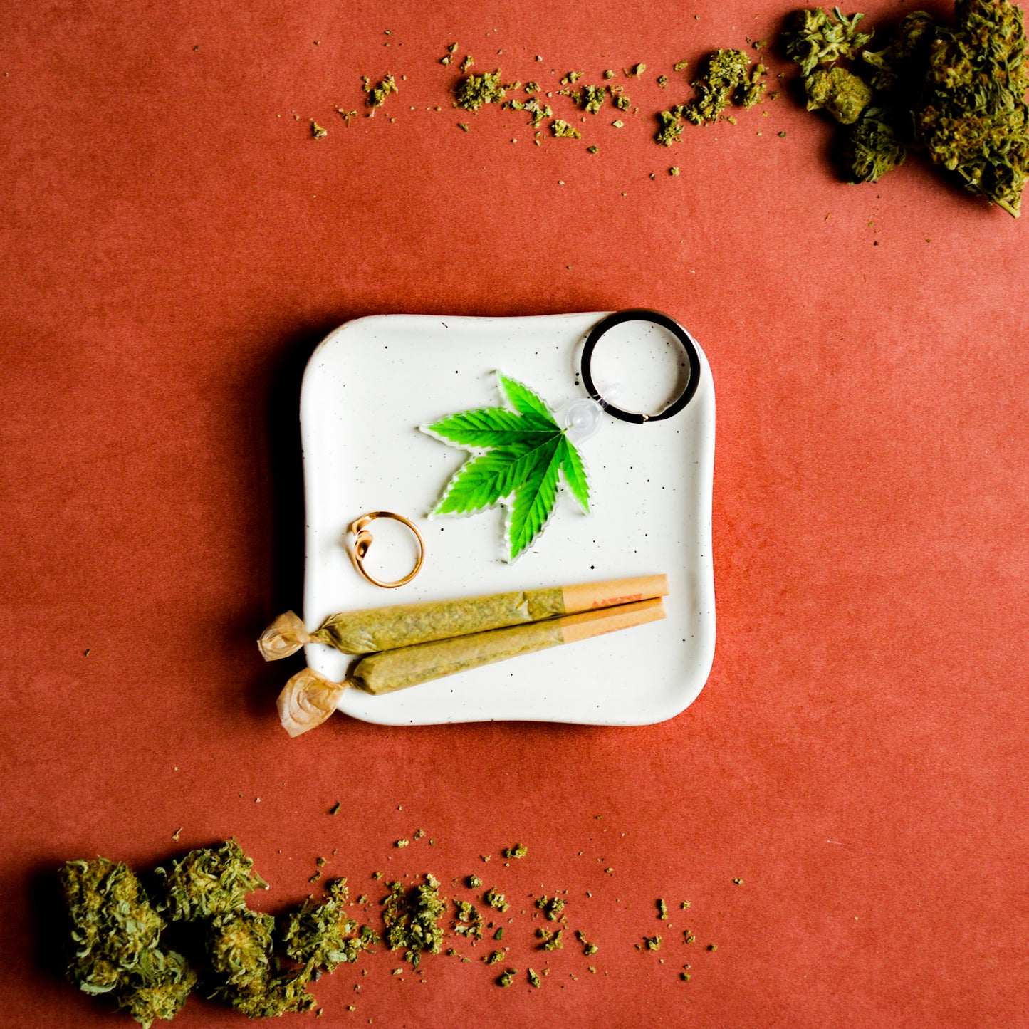 Marijuana Leaf Plant Keychain | Pot Leaf Keychain | 420 Keychain | Cannabis